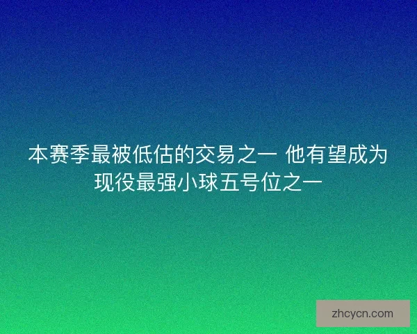 本赛季最被低估的交易之一 他有望成为现役最强小球五号位之一