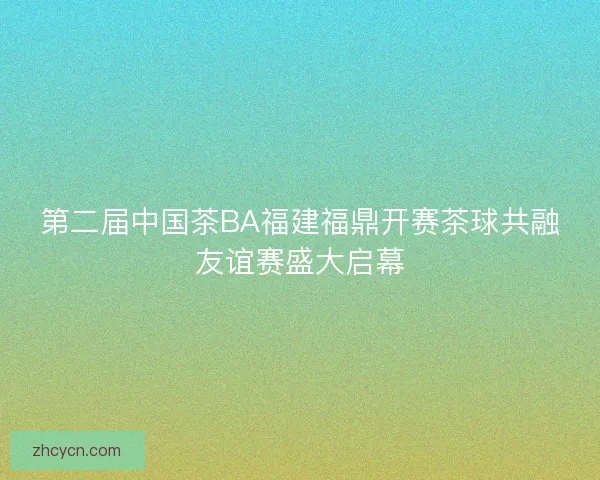 第二届中国茶BA福建福鼎开赛茶球共融友谊赛盛大启幕